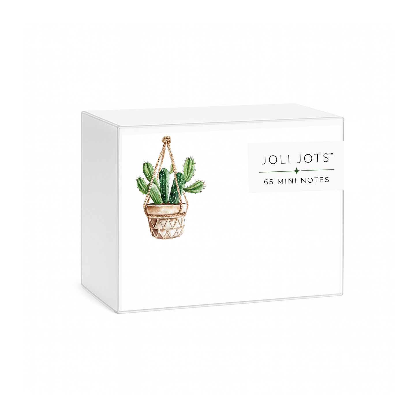 HANGING CACTUS MINI NOTES - JOLI JOTS™