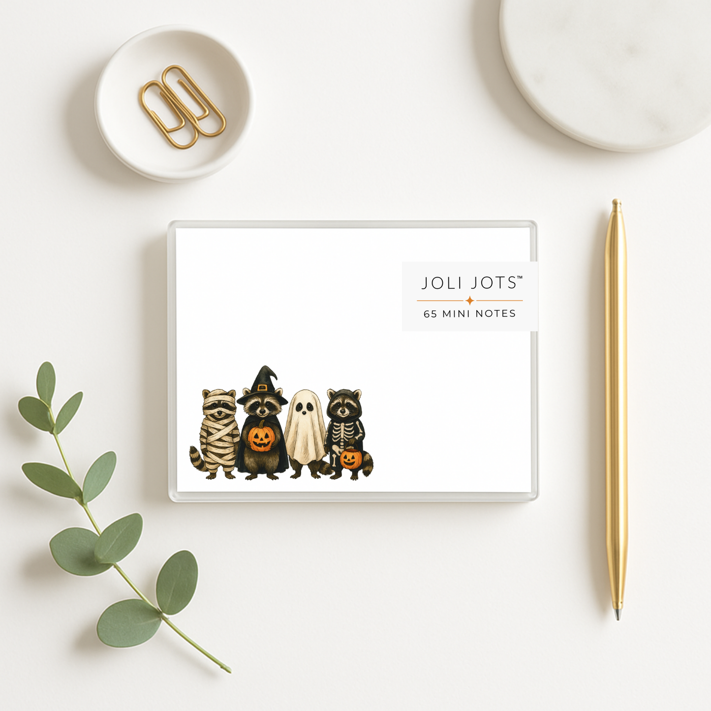HALLOWEEN RACCOONS MINI NOTES - JOLI JOTS™