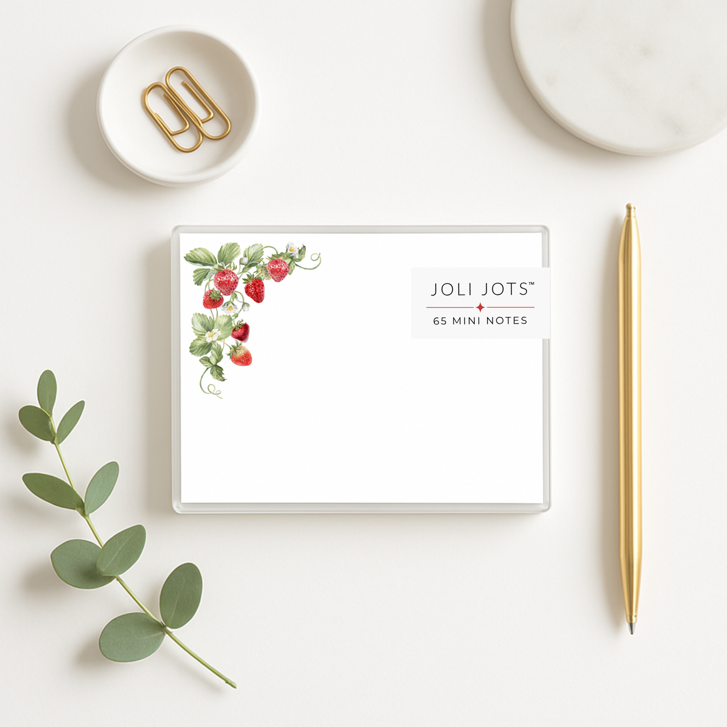 STRAWBERRY VINE MINI NOTES - JOLI JOTS™
