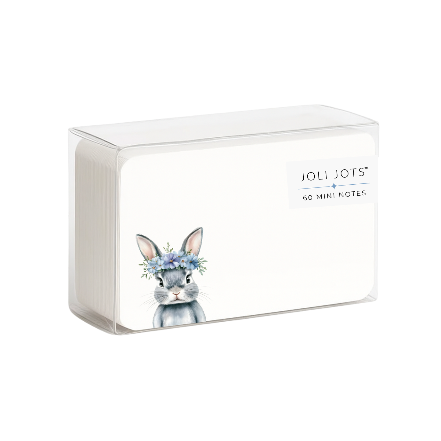 BLUE EASTER BUNNY MINI NOTES