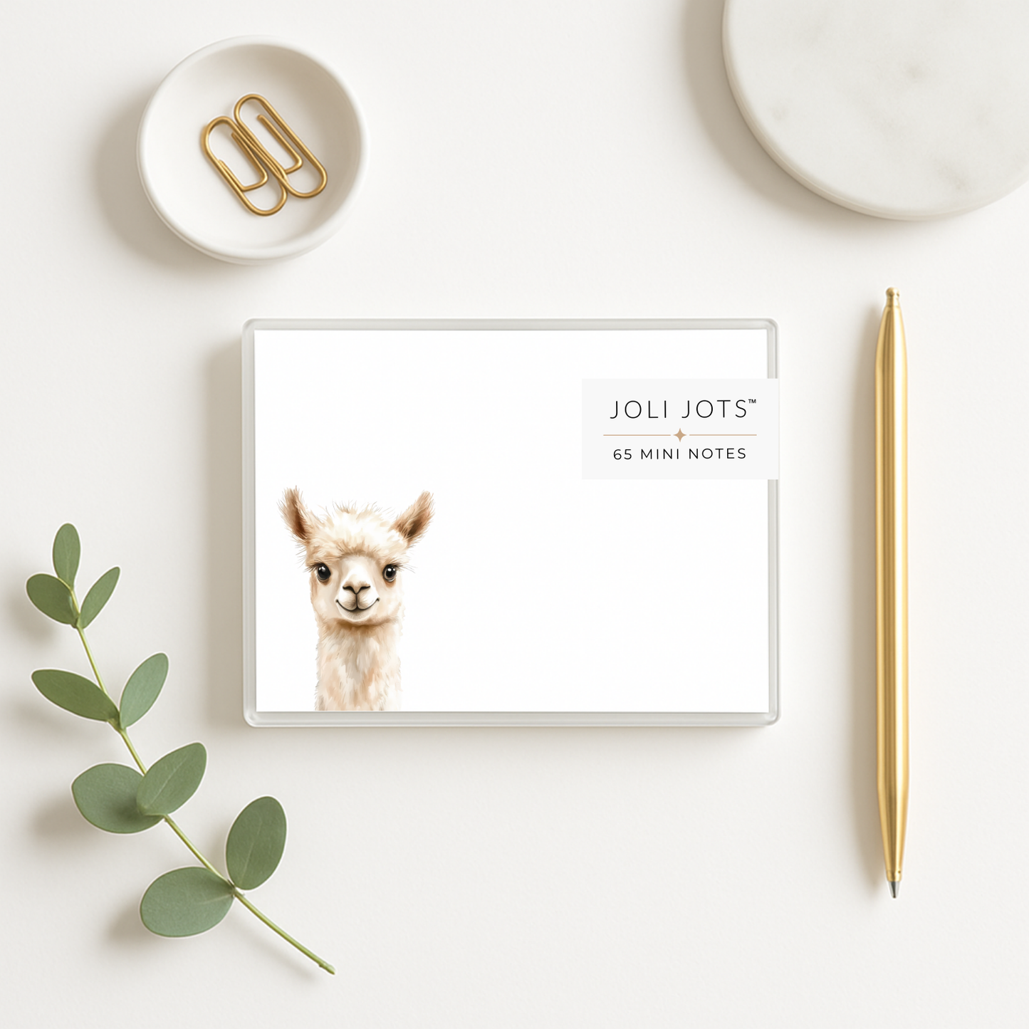 LLAMA MINI NOTES - JOLI JOTS™
