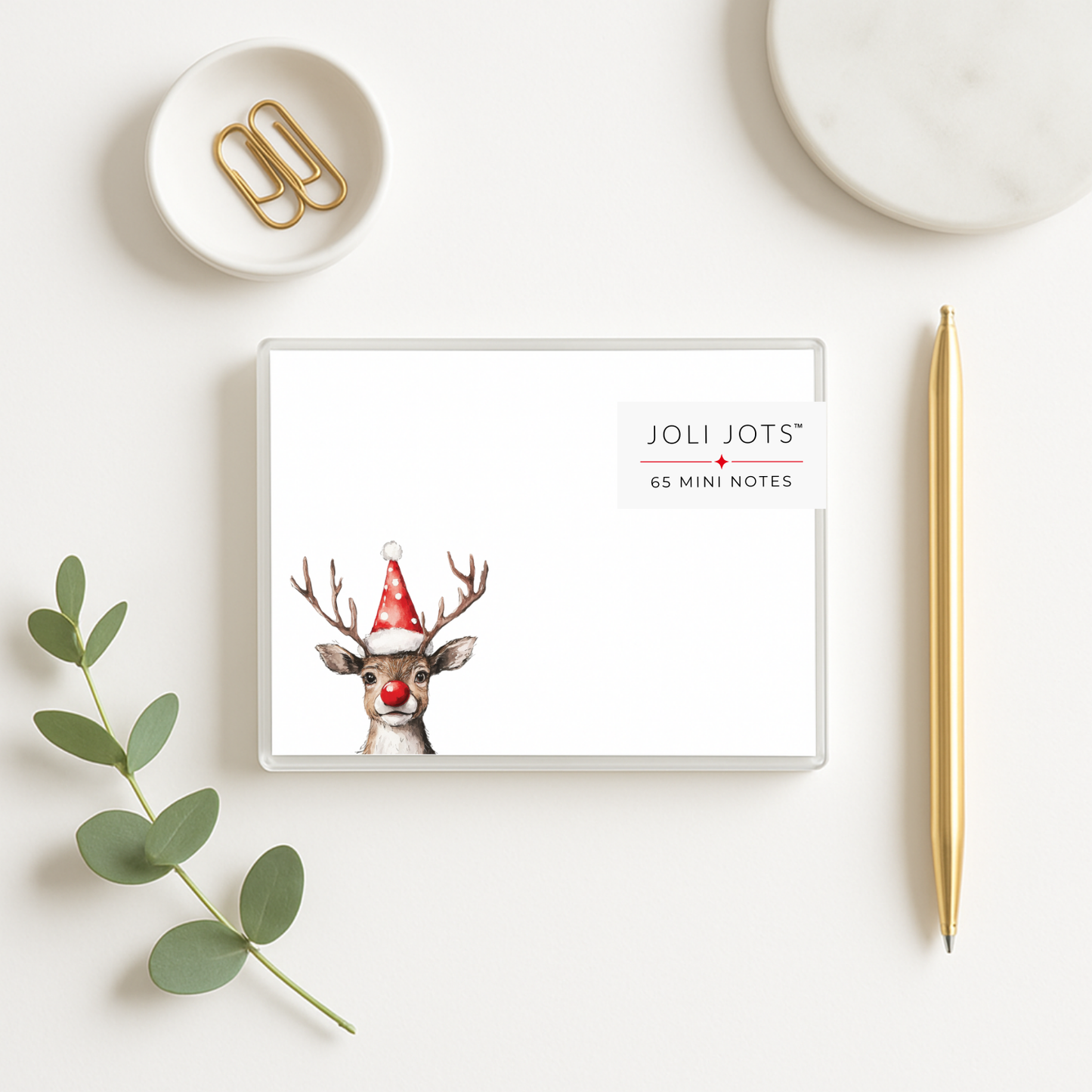 RUDOLPH MINI NOTES